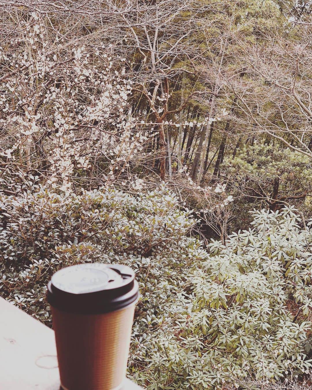 吉田栄作さんのインスタグラム写真 - (吉田栄作Instagram)「今年も梅がきれいに咲きましたね♪  撮影もうひと踏ん張り、頑張ります🤙」3月5日 6時48分 - eisakuyoshida_official