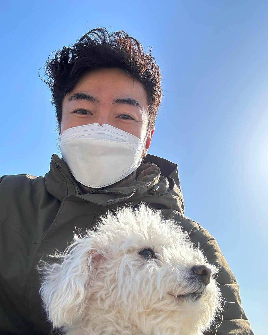 聡太郎さんのインスタグラム写真 - (聡太郎Instagram)「いつかの天気の良い日。  #dog #toypoodle #sunny #sun #love #bluesky #tokyo #japan  #omochi #おもち #もじゃもじゃ  #sotaro #聡太郎 #ヤスダソータロー」3月5日 19時15分 - sotarosotaro