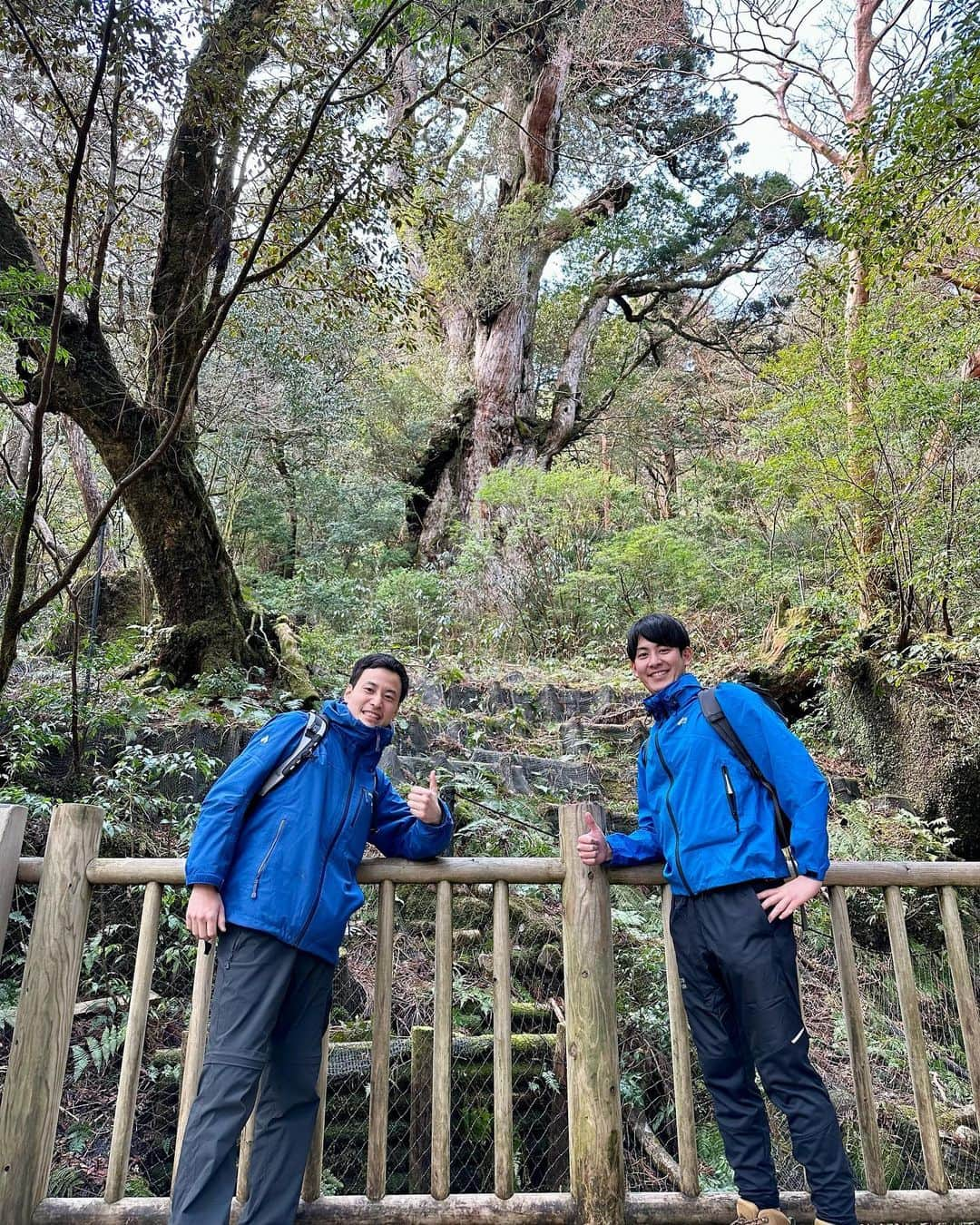 草薙和輝さんのインスタグラム写真 - (草薙和輝Instagram)「． 先日の冬休みに 一生に一度は訪れたいと思っていた 屋久島へ行ってきました！！  最初は一人で行こうと考えていたのですが、 後輩の柳下くんも行ってみたかったということで 緊褌一番、二人でいざ屋久島へ。  当日は、登山口を朝5時に出発。  その道のりは正直、想像以上のものでした。笑  往復10時間を超えることはもちろん分かっていましたが、 途中には勾配のかなりキツいところも、、  苦しい道のりを経てたどり着いた 世界遺産の縄文杉を目の前にした瞬間、 雄大なその姿からパワーをもらえた気がしました！  樹齢は7200年とも言われている縄文杉。 気の遠くなるような数字ですよね、、  とにかく繰り返しですが、 想像の何倍もキツかったです。笑笑 数日間、足の筋肉痛が取れませんでした🦵  しかし、、、 それを超えるような達成感を味わうことができました！  本当に行ってよかった！！  縄文杉を見た翌日は、白谷雲水峡にも。 こちらは有名なアニメ映画のモデルにもなった場所です！  絵画のように緑鮮やかな苔むす森や、 太鼓岩の頂上から見た山々は絶景そのもの。  改めて自然は偉大だと感じることができました！  次は富士山に登りたい！ 登山メンバー募集します🗻  #冬休み #旅行 #トレッキング #世界遺産 #屋久島 #屋久杉 #縄文杉 #白谷雲水峡 #苔むす森 #太鼓岩 #自然 #絶景 #達成感 と #筋肉痛 次は #富士山 #メンバー募集 #テレビ朝日 #テレ朝 #アナウンサー #後輩 #青被り #柳下圭佑 #柳下アナ #草薙和輝 #草薙アナ」3月5日 19時24分 - kazuki_kusanagi_ex