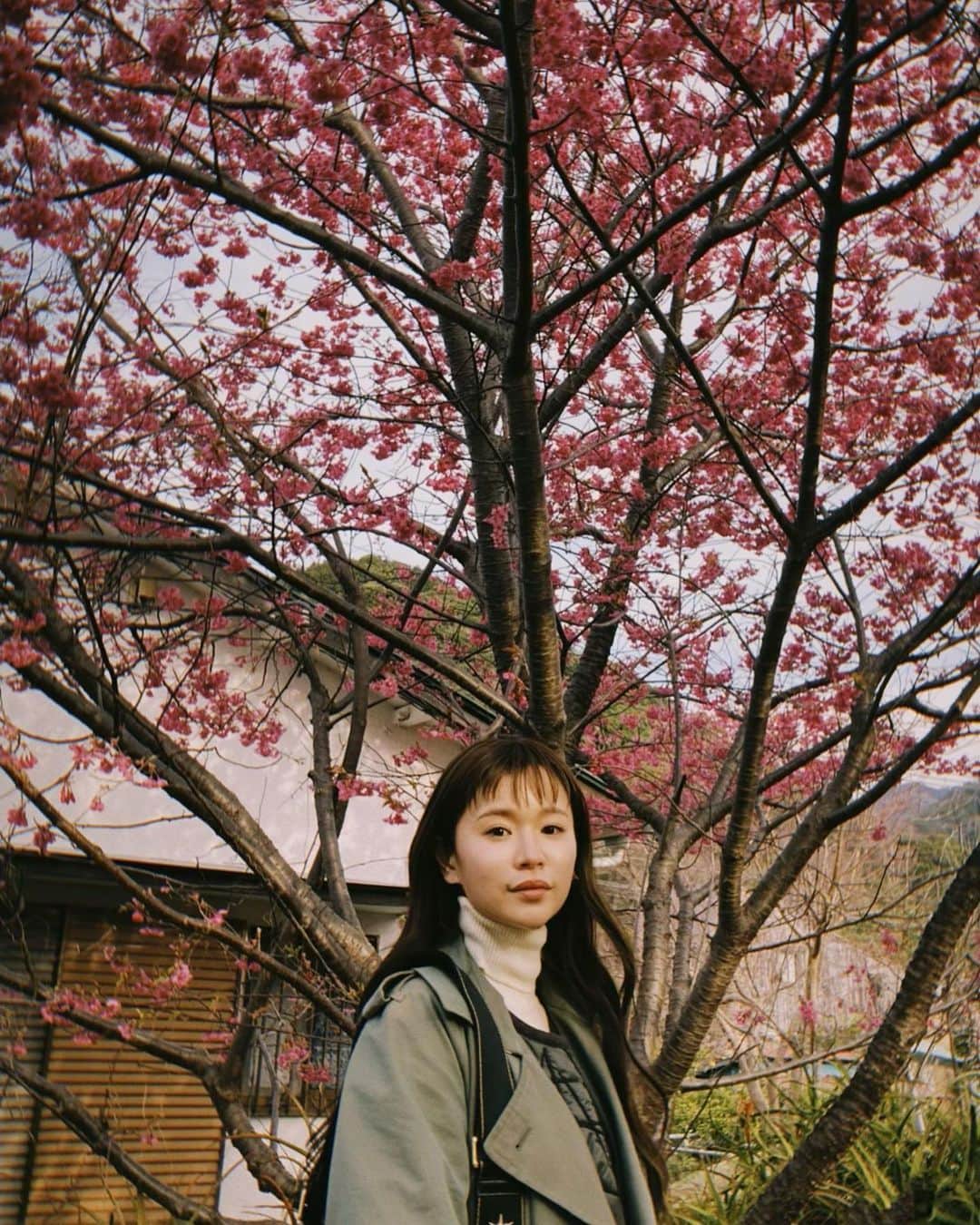 fumikaさんのインスタグラム写真 - (fumikaInstagram)「⁡ 急に思い立ってちょっと旅へ。 深呼吸。 ⁡ #河津桜 #桜 #🌸 #早咲き #もう葉桜になりかけてたけど綺麗だった ⁡ ⁡ ⁡」3月5日 20時17分 - fumikasingasong
