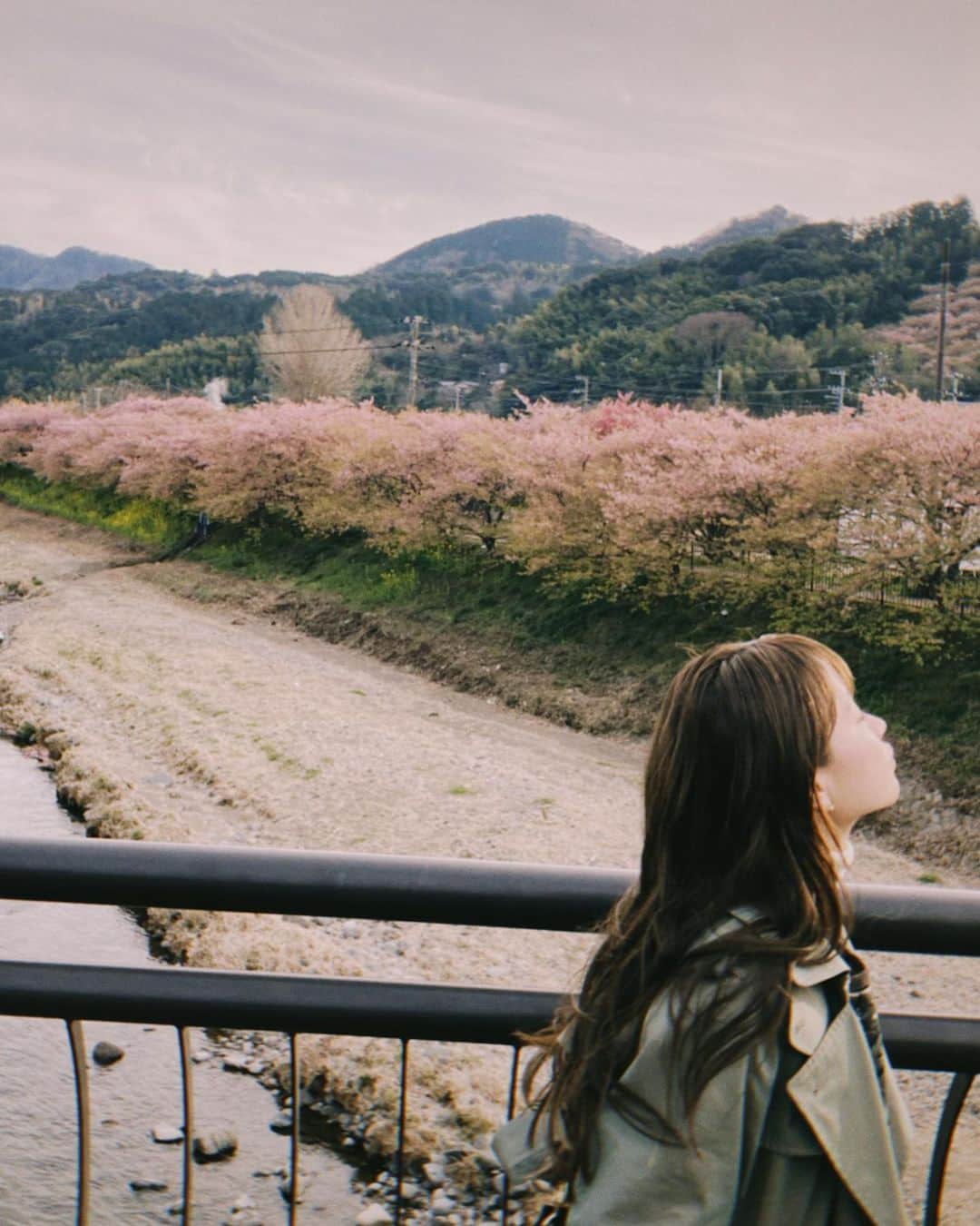 fumikaさんのインスタグラム写真 - (fumikaInstagram)「⁡ 急に思い立ってちょっと旅へ。 深呼吸。 ⁡ #河津桜 #桜 #🌸 #早咲き #もう葉桜になりかけてたけど綺麗だった ⁡ ⁡ ⁡」3月5日 20時17分 - fumikasingasong