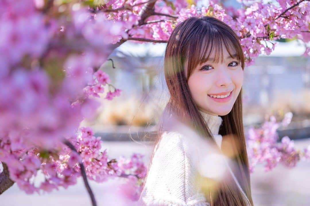 松田蘭のインスタグラム：「撮影会のお写真 桜が咲いていたよー🌸  会ってみたいけれど撮影会は敷居が高くて... とコメントをいただくことがたまにあります😌  カメラを持っていなくても大丈夫！ わたしの参加させていただいている撮影会の ほとんどがスマホで撮影可能です✨ (その時々の撮影会のHPを確認してください✨)  実際にスマホ撮影している方も何人かいるし 撮影会自体が初めて！という方もいました😳  もちろん、本格的にお写真が撮りたい方には 出来るだけ要望に応えてポージングします！  撮影会は会えるイベントのひとつなので 沢山お話してどんどん仲良くなりましょう✨  興味を持ってくださる方は ぜひ会いに来てくれると嬉しいです☺️  #撮影会 #フェスタソーレ撮影会  #野外撮影 #撮影 #写真 #写真好きな人と繋がりたい  #桜 #春 #撮影会モデル  #モデル #レースクイーン #松田蘭」