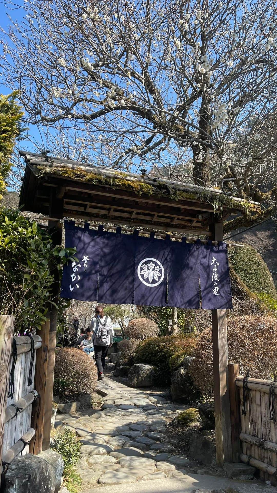 佐藤東弥のインスタグラム：「また来た 今日は魚もつけよう」