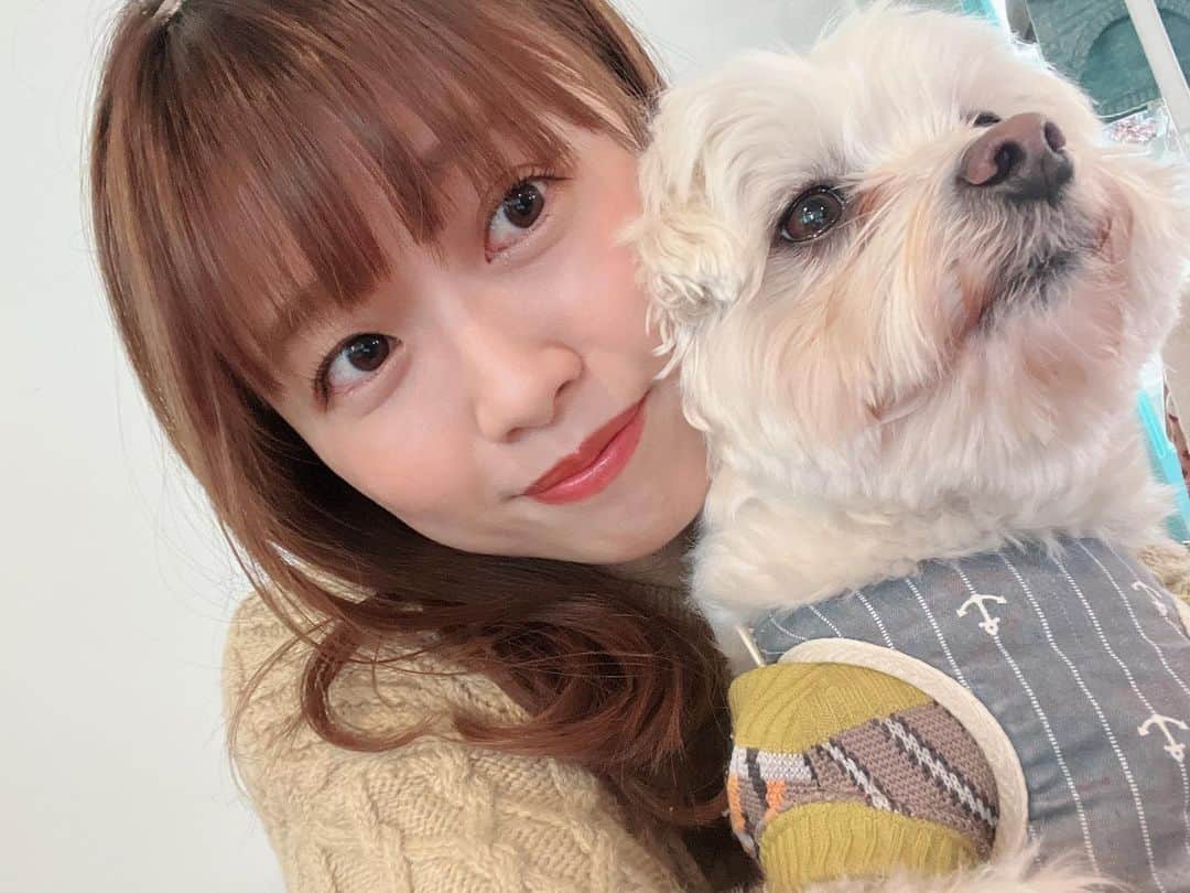 西澤由夏さんのインスタグラム写真 - (西澤由夏Instagram)「ランチ🍴&ティー🫖  可愛いお店見つけた🐾  #愛犬 #マルチーズ」3月5日 13時44分 - yknszw