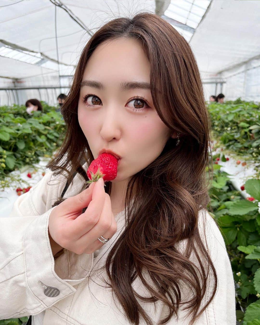 三輪晴香のインスタグラム：「. . いちご狩りにいきたい🍓 時期が終わっちゃう前に〜！！  写真を見ていただけたらお分かりの通り、、 欲張りです🫢  #いちご #いちご狩り #食べスタグラム  #オフショット #オフコーデ」