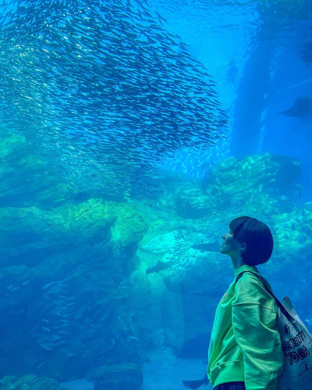 雨宮萌果のインスタグラム：「🎷🐟🐟🎷  仙台うみの杜水族館 　　　　× 「BLUE GIANT」  2万匹近くのマイワシの大群が  映画「BLUE GIANT」の オリジナル楽曲「FIRST NOTE」に 合わせてパフォーマンス。  水槽が一気にJAZZ！ 周りのこども達も私も大興奮！　　  主人公の宮本大が 仙台出身ということでの 粋な計らい。  I was sooo moved !!!!  #bluegiant  #仙台うみの杜水族館  #水族館 #blue」