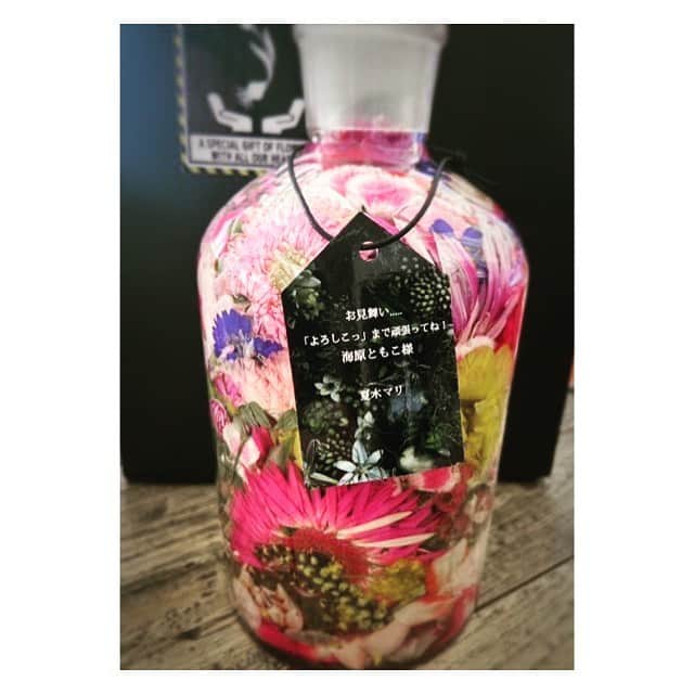 のインスタグラム：「ありがとうございます💚  夏木マリさんから 素敵なbottle flowerを頂きました  お見舞い 『よろしこっ』まで頑張ってね  って、メッセージまで💚  かっこよくて、オシャレで素敵なマリさん マリさんみたいに素敵に生きていきたいです✨」