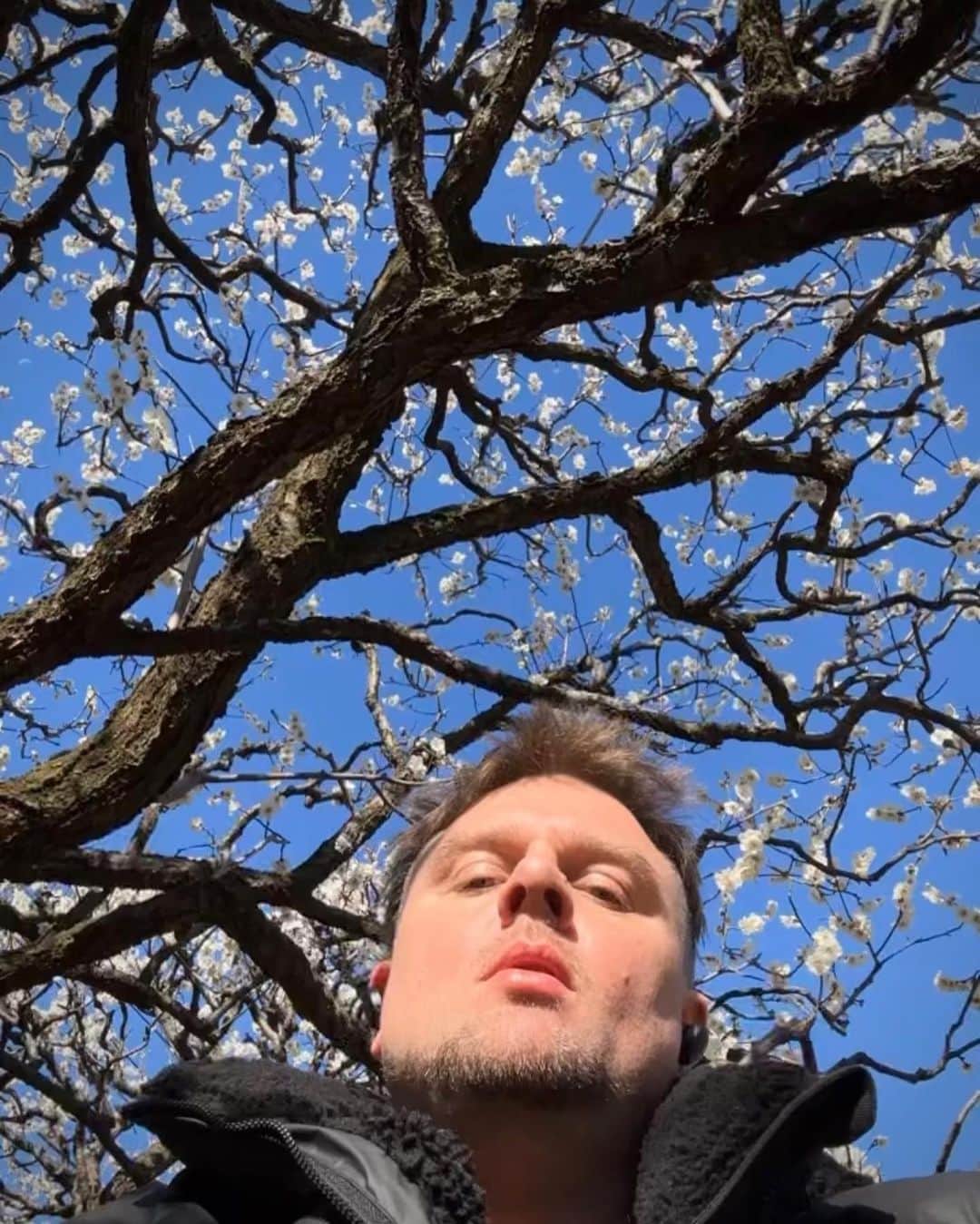東京DANDYのインスタグラム：「Late bloomer  #tokyo」