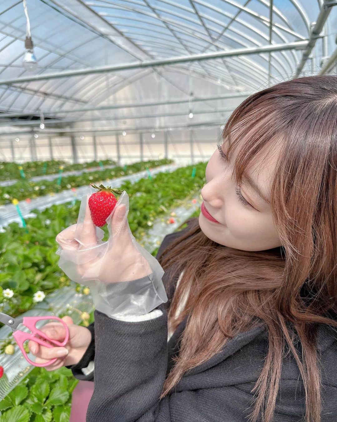 田中菜津美さんのインスタグラム写真 - (田中菜津美Instagram)「. 今年はプライベートとお仕事で 計2回いちご狩り行けた🍓 . あまおうはやっぱりおいしすぎました . ここは小郡にある白木いちご農園さん おでかけロケでも来たみたいでメンバーのサインが 飾ってあった👏👏 . #いちご狩り #いちご #福岡いちご狩り #小郡市  #白木のいちごしあわせもん #白木いちご」3月5日 16時16分 - natsumitanaka_0810