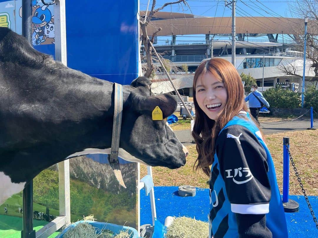 新保里歩のインスタグラム：「青空の下で行われていた #フロンターレ牧場 🐮🐐 #カブトムシの森 🌲  動物と触れ合ったり、 カブトムシの幼虫を採集したり、 昨日もフロンパークには沢山の笑顔が溢れていました🌼  試合前から沢山の癒しをもらっていました☺️  .  その後は…😳 スタグルを食べて、食べて、、 とにかくいろいろ食べました。。笑  どれも美味しかったな☺️ ご馳走様でした🤤  #frontale #kawasakifrontale  #フロンターレ  #川崎フロンターレ   #福田牧場 さん、 #相澤良牧場 さん、 #株式会社ミタニ さん」