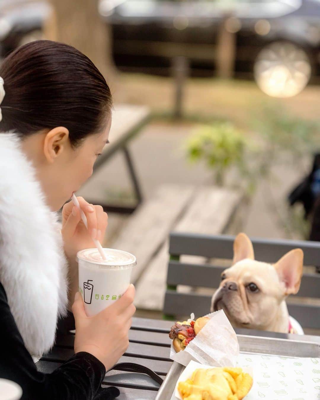 川原亜矢子さんのインスタグラム写真 - (川原亜矢子Instagram)「ヨジンヨとたっぷり散歩 #tokyo #frenchbulldog #dog #フレンチブルドッグ #フレブル #愛犬 #ありがとう」3月5日 16時35分 - ayakokawahara