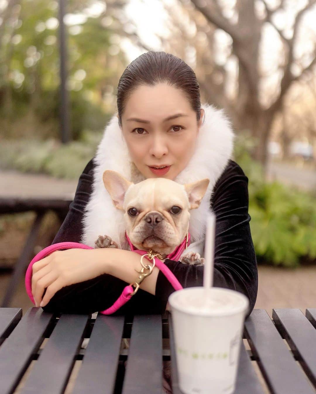 川原亜矢子さんのインスタグラム写真 - (川原亜矢子Instagram)「ヨジンヨとたっぷり散歩 #tokyo #frenchbulldog #dog #フレンチブルドッグ #フレブル #愛犬 #ありがとう」3月5日 16時35分 - ayakokawahara