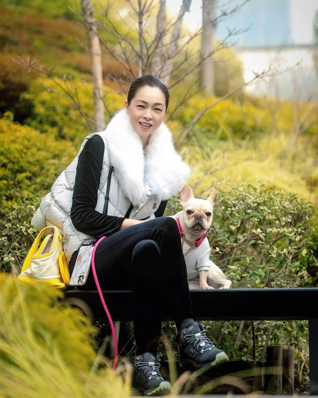 川原亜矢子のインスタグラム：「ヨジンヨとたっぷり散歩 #tokyo #frenchbulldog #dog #フレンチブルドッグ #フレブル #愛犬 #ありがとう」