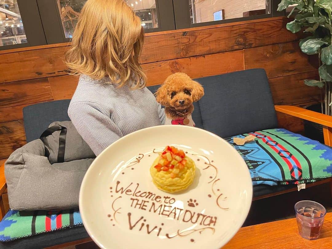 のインスタグラム：「店内で一緒に食事が出来るようになった @themeatdutch にviviがご招待頂いたので先日遊びに行ってきました🍴🌟  柏の葉Tサイト内にあってキレイでオシャレな敷地内だからお散歩も楽しい🥰  店内ではワンコ専用クッションとカートを貸してくれるよ🤍  ご飯もTサイト内にあるペットサロンと提携して出していて安心で美味しい🤍  こんなデザートまで出してくれて感激でした🥹✨  私達はお店のイチオシハンバーグとチキンにビュッフェ＋デザート🍴  最後の写真にもあるように両サイドに並んだ新鮮で種類豊富なサラダやおでんやカレーやマッケンチーズ等、多種多様な品揃えでビックリ❣️  ドリンクも飲み放題だったのでデトックスウォーターや自分で挽いて落としたコーヒー、それに卵ご飯が美味しかった🥹🥚  デザートまで食べきれないってなるぐらい本当にどれも美味しくてボリューム満点で久しぶりに動けなくなるまで食べました🤣🔥  店内の雰囲気やビュッフェや手作りコーヒーの感じがちょっとだけグランピング気分で楽しかった🏕  ビビもこの日は自分がもてなされてるもんだから調子に乗ってたなーw🫠  嬉しかったのはワンコのお皿がル・クルーゼ💛  こういう何気ない気配りって凄く大事🥺  体に良いもの＋美味しい＋ボリューム満点＋ワンコに優しい＋気配りが素敵＋楽しい＋オシャレな  柏の葉Tサイト内にあるThe Meat Dutch 🍖  ワンコのいる方もいない方もぜひ行ってみてください🤍🤍  とてもよくして頂き嬉しかったのでviviのお誕生日の日も予約して帰りました🥳🎂  またリールもアップしますね🤍  #わんこのいる生活 #わんこOk #店内わんこok #新鮮野菜 #ビュッフェ #ハンバーグ #グランピング #柏の葉tsite #grumping #camp #dinner #dogsofinstagram #doglover #mybaby #yummy #themeatdutch柏の葉」