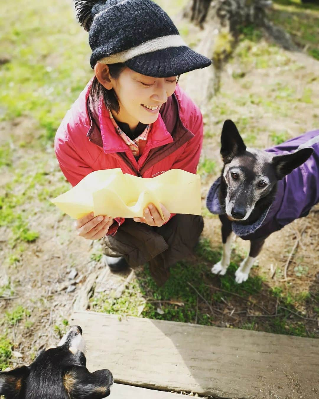 佐藤藍子さんのインスタグラム写真 - (佐藤藍子Instagram)「皆様、こんばんわ&お久しぶりです🍀  いやぁ、今年の花粉は大変だぁっ  ここ数年は穏やかだったから、久しぶりの飛散量の多さに目が‼️鼻が‼️喉が‼️ に、なっております  今日は、乗馬クラブに知り合いの方がキッチンカー🚚を持ってきて下さり グラタンや、コロッケなどをいただきました🍴 とても良い香りに、ワンコ🐶達が集まってきました お友達の娘🐶の、あんﾁｬﾝ、美人さんでしょー😍  三寒四温の季節ですので たっぷり寝て、免疫力をつけて行きましょうね🍀  いつもありがとうございます😆  藍子  #犬#ミックス犬#ゴールデンドゥードゥル#dogsofinstagram #mixdog #goldendoodle #aikosato#佐藤藍子」3月5日 17時17分 - sato_aiko_official