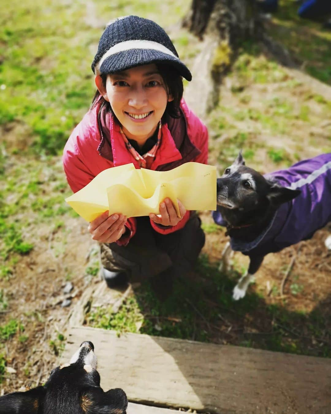 佐藤藍子さんのインスタグラム写真 - (佐藤藍子Instagram)「皆様、こんばんわ&お久しぶりです🍀  いやぁ、今年の花粉は大変だぁっ  ここ数年は穏やかだったから、久しぶりの飛散量の多さに目が‼️鼻が‼️喉が‼️ に、なっております  今日は、乗馬クラブに知り合いの方がキッチンカー🚚を持ってきて下さり グラタンや、コロッケなどをいただきました🍴 とても良い香りに、ワンコ🐶達が集まってきました お友達の娘🐶の、あんﾁｬﾝ、美人さんでしょー😍  三寒四温の季節ですので たっぷり寝て、免疫力をつけて行きましょうね🍀  いつもありがとうございます😆  藍子  #犬#ミックス犬#ゴールデンドゥードゥル#dogsofinstagram #mixdog #goldendoodle #aikosato#佐藤藍子」3月5日 17時17分 - sato_aiko_official