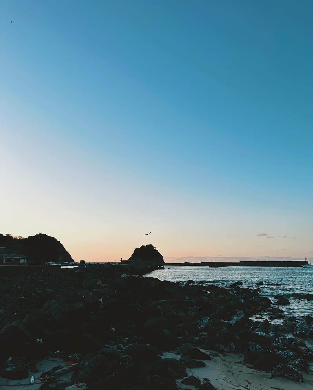 Takafumi Gotoのインスタグラム：「hibi」