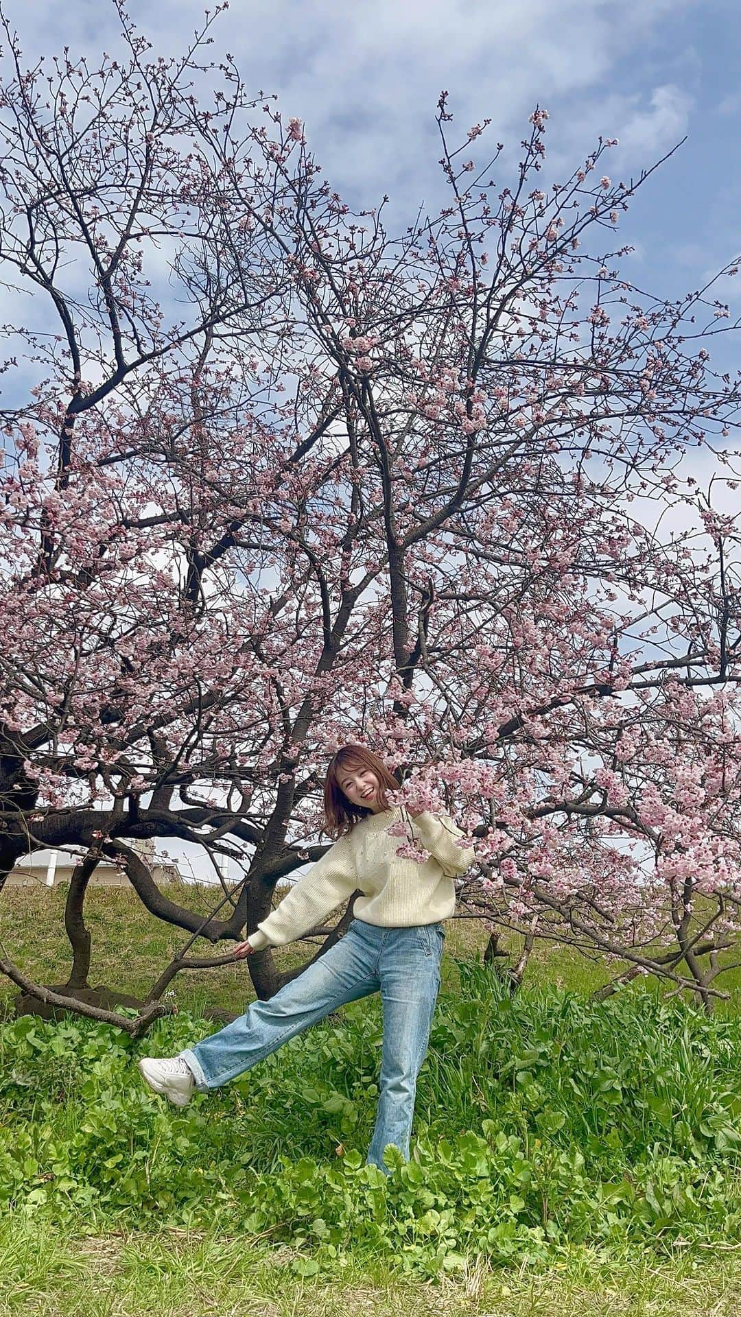 伊藤美羽のインスタグラム：「. 春感じた🌸  今年は桜いっぱい見たいなぁ  #桜  #邦ロック  #myhairisbad」