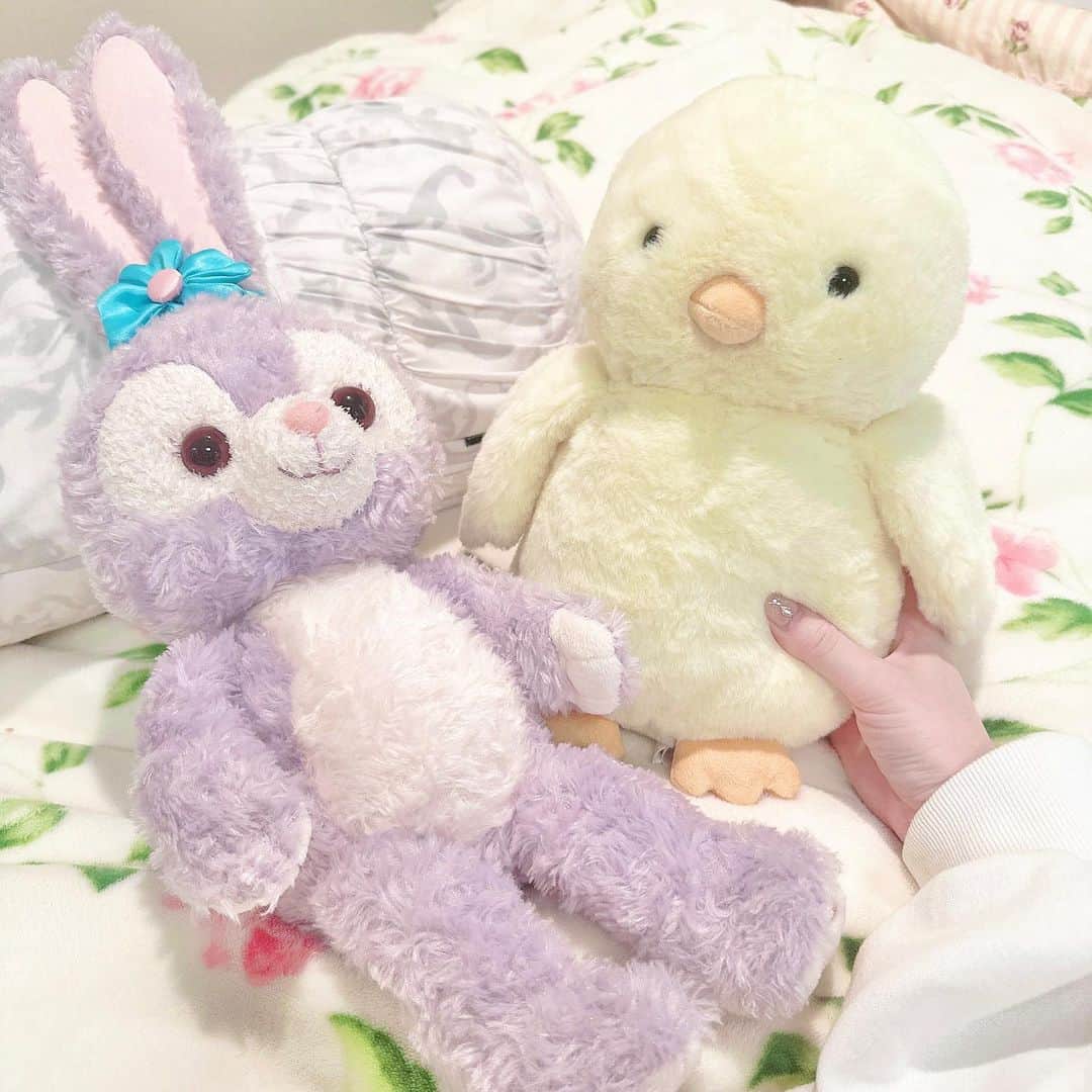 メイリ（美梨）のインスタグラム：「#ニトリ でお迎えしたデカピヨちゃん、お気に入りで一緒に寝てる😪💓🐥 . . #Francfranc #フランフラン #francfranc購入品 #ニトリ購入品 #ディズニーシー #ダッフィーフレンズ」