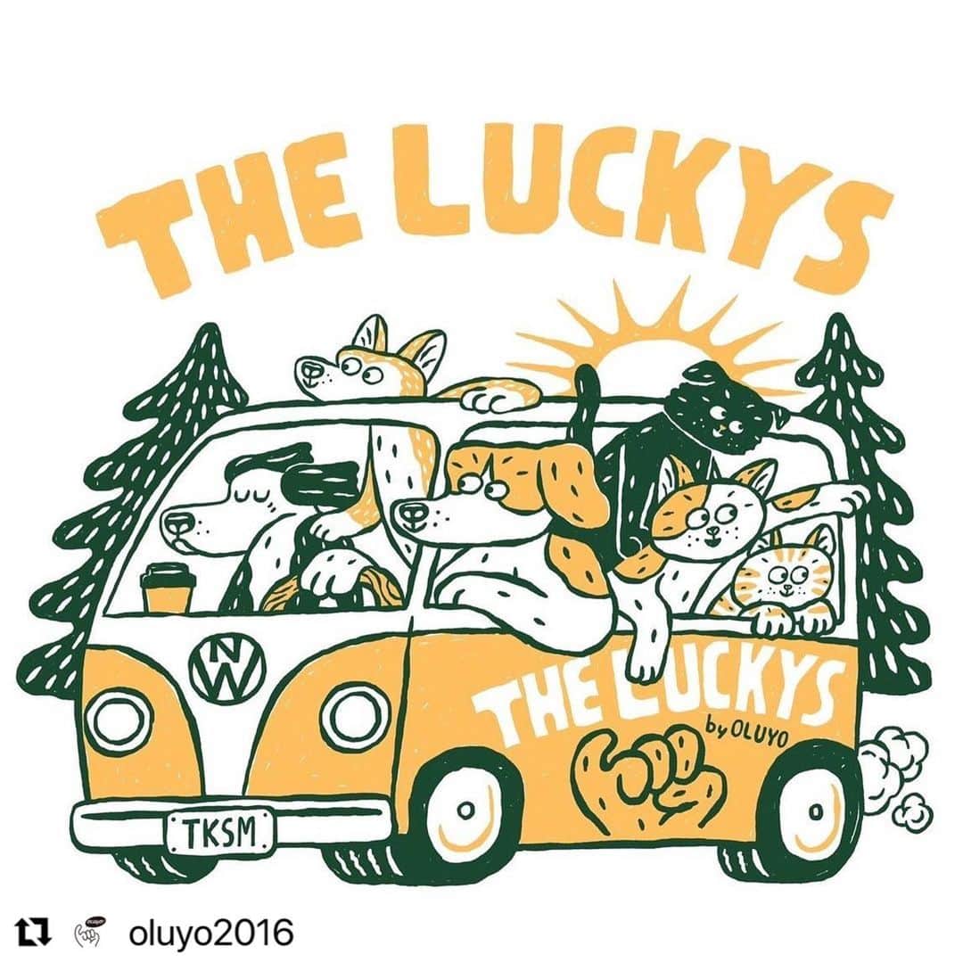 のインスタグラム：「大事なお知らせです👇 #Repost @oluyo2016 with @use.repost ・・・ 【大事なお知らせ】 この度、OLUYOの保護犬猫支援ブランド「THE LUCKYS(ザ ラッキーズ)」を立ち上げました。  このブランドの商品をご購入していただくと利益の50%が徳島県の保護犬猫の支援のために使用されます。 寄付先や使用用途はその都度OLUYOのHPにてご報告致します。  OLUYOには、元保護犬であり、現在はOLUYOの人気看板犬Rimがいます🐕 保護犬猫の中には、Rimのように過酷な環境から保護されたラッキーな犬や猫もいるでしょう。そんなラッキー犬Rimと出会えたことは、私たちにとっても本当にラッキーな出来事でした。  お互いにラッキーだという意味を込めて「THE LUCKYS」という名前をつけました。THEをつけたのは、バンドマンであるわたしと副社長のこだわりでもあります。  そして、このTHE LUCKYSのロゴマークを兼ねてより大ファンであるイラストレーターのオカタオカさんに描いていただきました。オカタオカさんにもブランドの趣旨を理解していただき、保護犬猫たちが楽しくバンドワゴンに乗っているような、見ていて嬉しくなる最高のロゴマークを作ってもらいました。  みなさんに長く愛されるような、そして保護犬猫たちの苦しみを少しでも取り除く助けになるような、そんなブランドに育てていけたらと思っています。  末長くよろしくお願い致します。  OLUYO社長　福岡晃子  ※THE LUCKYSのグッズはOLUYOのオンラインショップからご購入いただけます。 https://oluyo2016.wixsite.com/tokushima/shop  #保護犬 #保護猫」