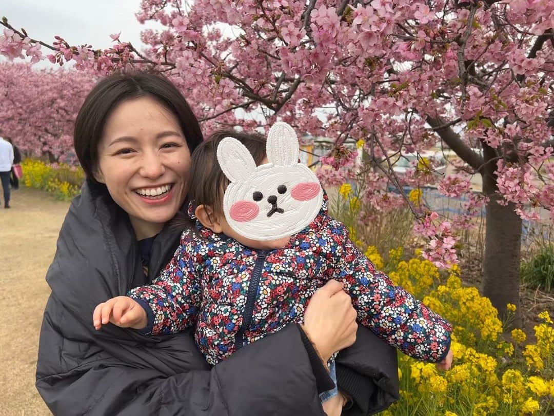 平田薫さんのインスタグラム写真 - (平田薫Instagram)「河津桜でお花見🌸 満開でした〜！！ 去年も娘を連れて行ったスポット。 去年は終わりがけに駆け込みでいったので、今年は満開で見にゆけてよかった！ 去年は抱っこでポーッとしながら見ていた桜。 今年は自分で歩き回って、菜の花の花びらを口に入れたり。笑 桜にも喜んで、わー！と声を出して手を伸ばしたりしていました。  最後の2枚はおまけのイチャイチャ写真。  #河津桜」3月5日 18時47分 - hiratakaoru1215
