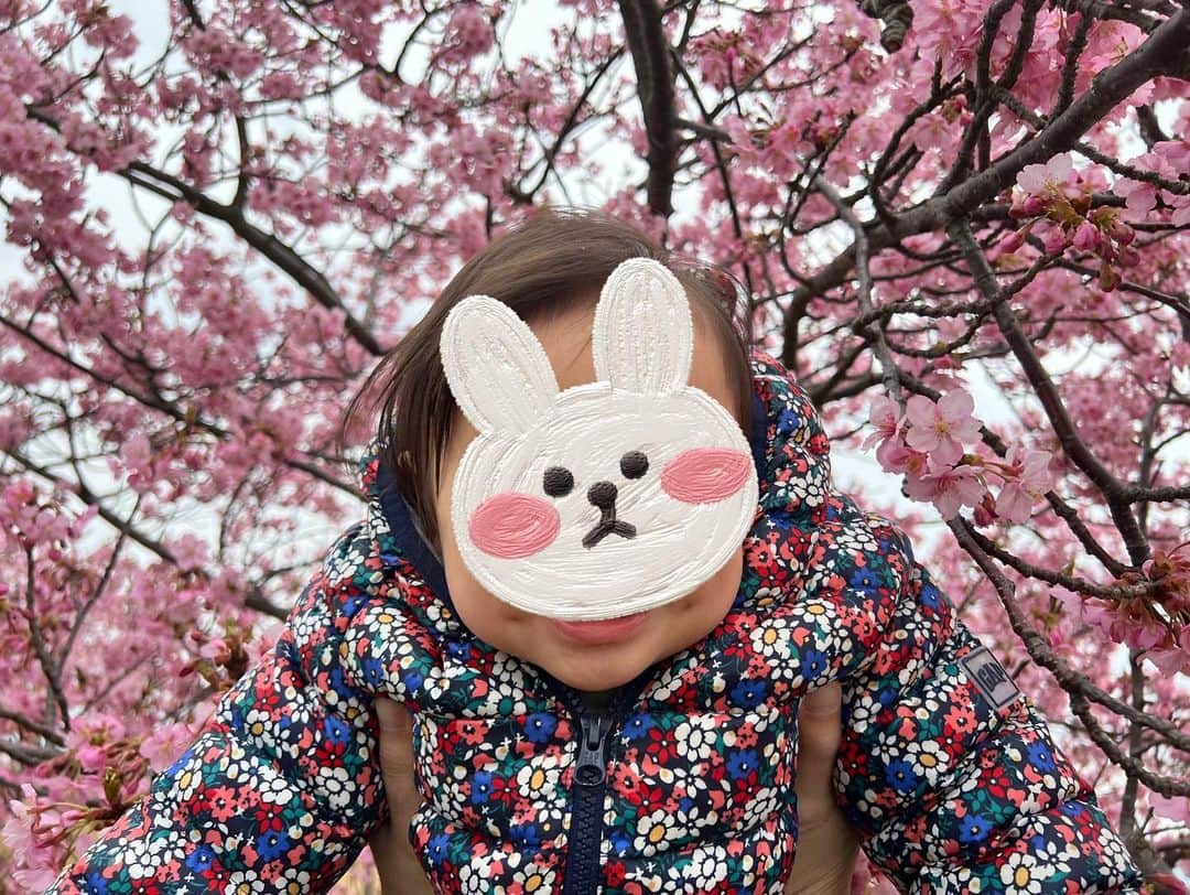 平田薫さんのインスタグラム写真 - (平田薫Instagram)「河津桜でお花見🌸 満開でした〜！！ 去年も娘を連れて行ったスポット。 去年は終わりがけに駆け込みでいったので、今年は満開で見にゆけてよかった！ 去年は抱っこでポーッとしながら見ていた桜。 今年は自分で歩き回って、菜の花の花びらを口に入れたり。笑 桜にも喜んで、わー！と声を出して手を伸ばしたりしていました。  最後の2枚はおまけのイチャイチャ写真。  #河津桜」3月5日 18時47分 - hiratakaoru1215