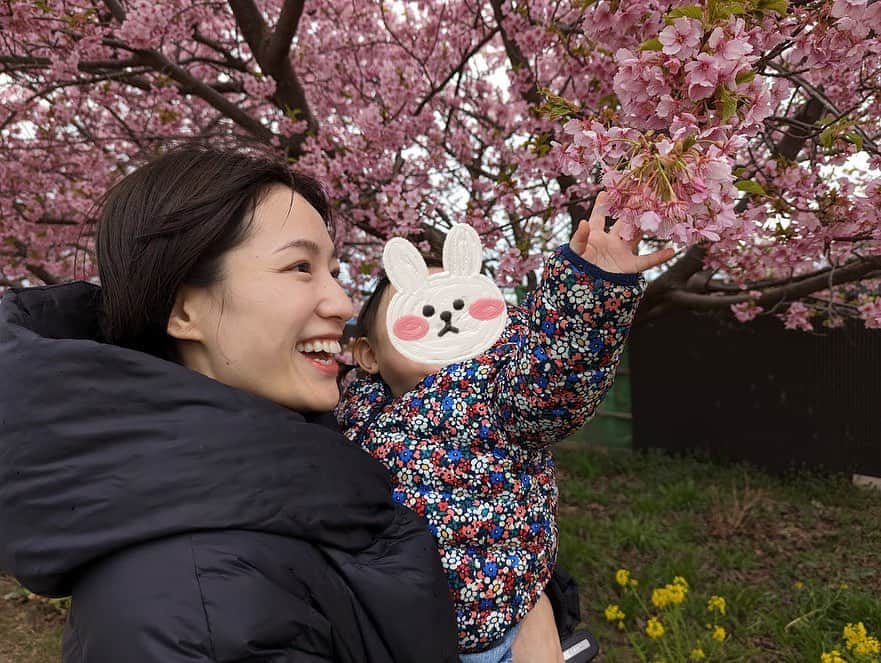 平田薫さんのインスタグラム写真 - (平田薫Instagram)「河津桜でお花見🌸 満開でした〜！！ 去年も娘を連れて行ったスポット。 去年は終わりがけに駆け込みでいったので、今年は満開で見にゆけてよかった！ 去年は抱っこでポーッとしながら見ていた桜。 今年は自分で歩き回って、菜の花の花びらを口に入れたり。笑 桜にも喜んで、わー！と声を出して手を伸ばしたりしていました。  最後の2枚はおまけのイチャイチャ写真。  #河津桜」3月5日 18時47分 - hiratakaoru1215