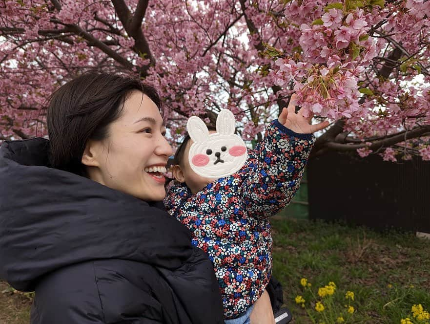 平田薫のインスタグラム：「河津桜でお花見🌸 満開でした〜！！ 去年も娘を連れて行ったスポット。 去年は終わりがけに駆け込みでいったので、今年は満開で見にゆけてよかった！ 去年は抱っこでポーッとしながら見ていた桜。 今年は自分で歩き回って、菜の花の花びらを口に入れたり。笑 桜にも喜んで、わー！と声を出して手を伸ばしたりしていました。  最後の2枚はおまけのイチャイチャ写真。  #河津桜」