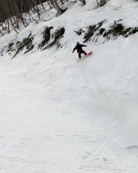 のインスタグラム：「久々にホームゲレンデ。 雪は降ってないもんで、壁に笹とか石とか切り株が出ちゃってて、こんなふうに遊んじゃって気を抜いた時に、ソールをやっちまいました。 　 　午後になってスノースケートに乗り換えて一笑。撮ってないけどバンクがおもろかったなぁ〜♪  　さて、傷のついたこのソールを緊急修理してくれた名匠が、前橋市のスノーボード、スケートプロショップのTrick Star 坂林さん！今回ほんと助かりました！  　翌日は、直した板を駆り、オグナで湿雪パウダーめちゃ最高！！！ただ、もう降る雪がすぐに溶けてベッチャベヂャになったなぁ。  　もう新雪は来シーズンかしら！？！？  #snowboard #snowboarding #capita #springbreaksnowboarding  #springbreaksnowboards  #unionbindings  #unionbindingco  #deeluxe #deeluxeboots  #play #playdesign #bushheadgear」