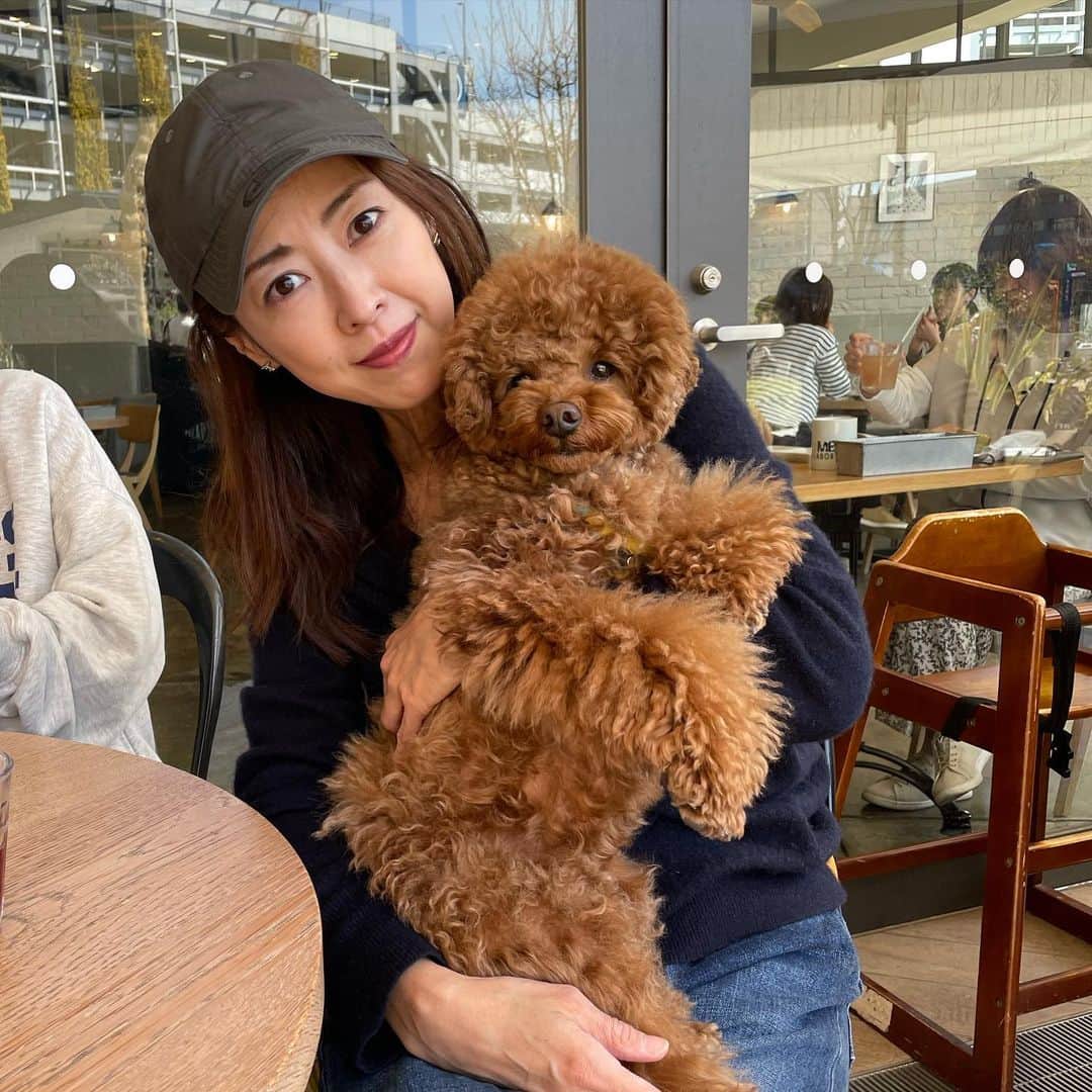 のインスタグラム：「天気いい☀️家族でランチ🍴 #ランチ#テラスランチ#犬連れ#アラフィフライフ#トイプードル#でかぷー」
