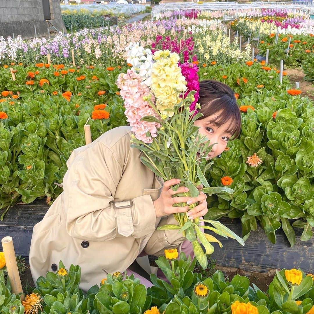 嶺百花さんのインスタグラム写真 - (嶺百花Instagram)「今日のお天気コーナーお出かけ中継は、国営武蔵丘陵森林公園から。長靴下のピッピちゃんみたいな髪型にしてもらいました〜😚💕小学生の頃よく読んでたな📚  春になって色々なところがカラフルになって嬉しいっ🌷🌸  #長靴下のピッピ#春#春コーデ#三つ編み#ヘアアレンジ  #thetime_tbs#天気#お天気キャスター#tbs#THETIME#嶺百花#ootd#キャスター#大学生#学生#女子大生」3月20日 8時05分 - mine_momoka