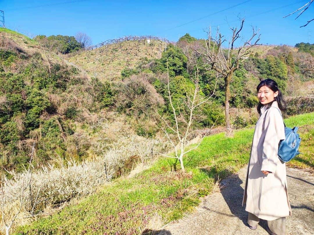 北口麻奈さんのインスタグラム写真 - (北口麻奈Instagram)「奈良の五條へ🚶‍♀️ 親戚のお家にお邪魔してきました。 お休み中の柿の木を眺めながら、しばし散策❗️ 視界の広いので、心も拡がる感じがしました☺️ 地面を見てみるとツクシがいっぱいでしたよ✨ #奈良 #つくし #おさんぽ」3月20日 10時13分 - asana_kitaguchi