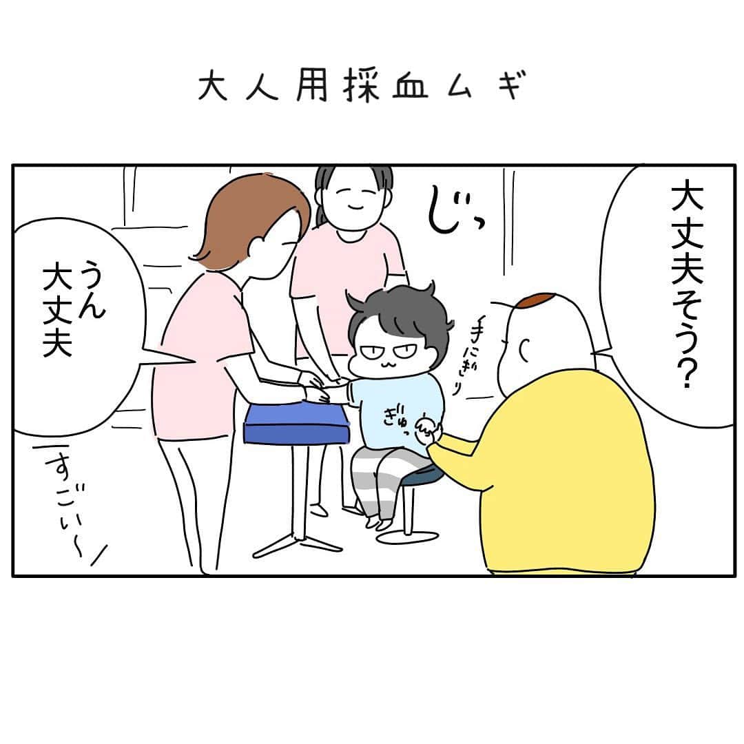 つんのインスタグラム：「ついにムギはグルグル巻を卒業したのだ  がんばった！   #採血ムギ  #経験者は語ムギ  #報告ムギ  #途中泣きムギ  ✏ストーリーから宿題やだ娘」