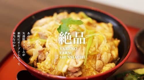 けんさむのインスタグラム：「けんさむ🐶です🐤🐦🐣🐔 熊本#新町 に突如「矢部野ファーム」が現る！？ 絶品の#親子丼 が食べれます🐔🐣🍚 📍#矢部野ファーム  詳しくはプロフィールのURLからブログ見てはいよ🙋🏼‍♂️🍚🥚  いいね👍フォロー👯‍♂️Thankyou😇✨ 皆さんの熊本のお気に入りを教えてください🌿 DM💭待ってます🐶🎶 . #けんさむの熊本紹介 #熊本 #熊本グルメ #くまモン #けんさむ #熊本観光 #熊本県 #kumamoto #熊本ランチ」