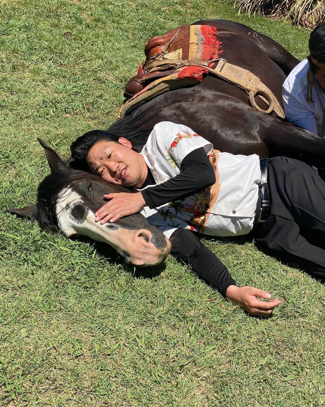 みやぞんさんのインスタグラム写真 - (みやぞんInstagram)「馬がたまらなく可愛い😍 一緒に過ごしたい😭 ありがとう😭  #イッテQ #うま」3月20日 11時07分 - anzenmiyazon