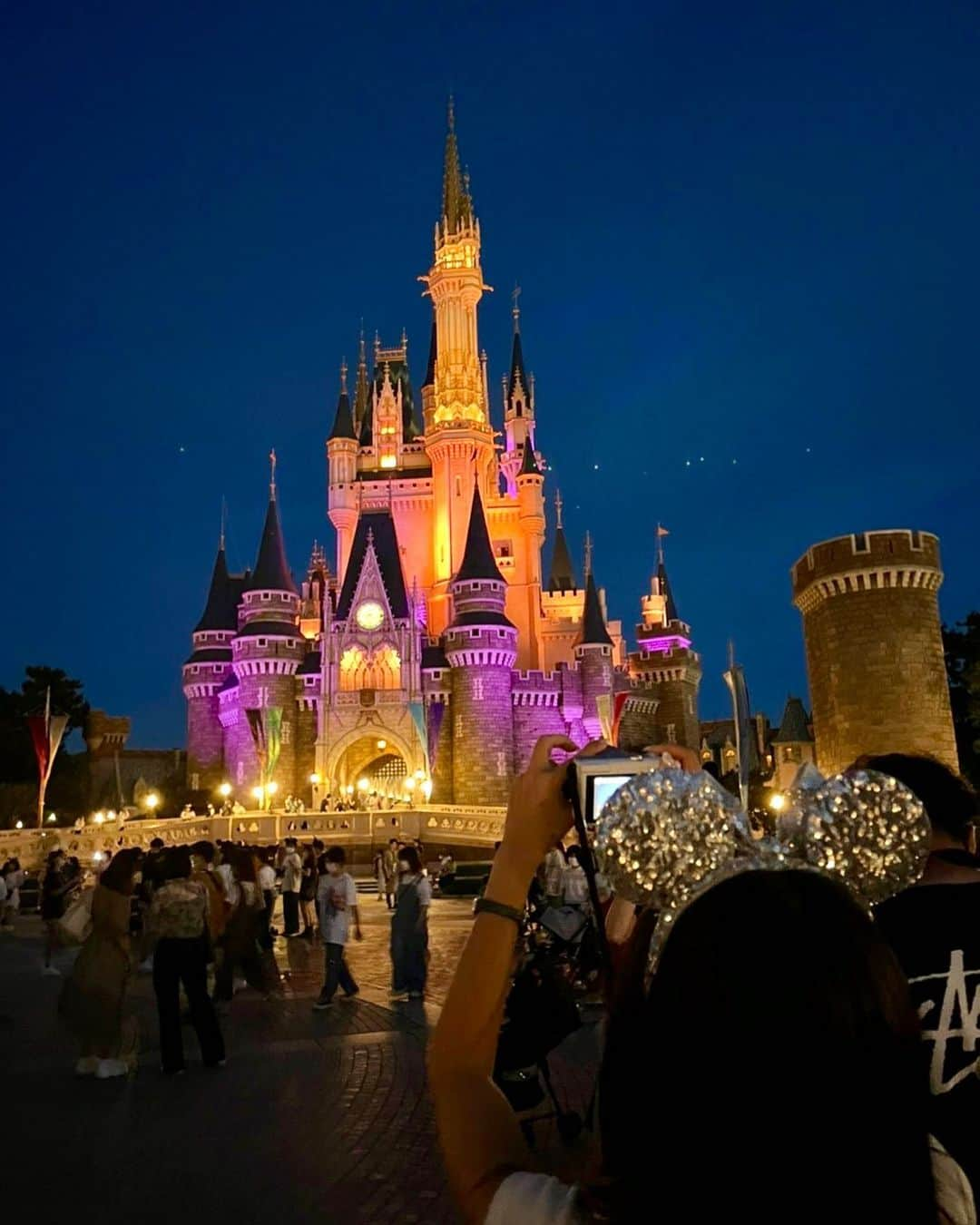 桜咲いおりのインスタグラム：「ディズニー投稿おしまい🏰🖤」