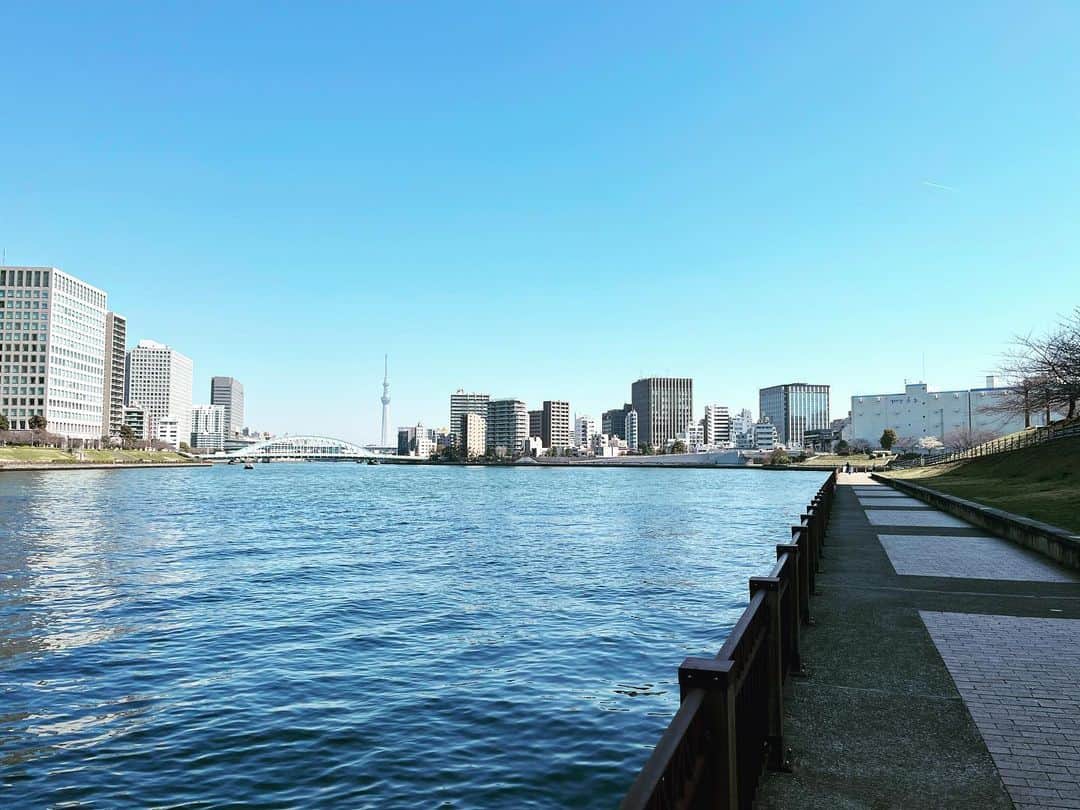 浅田信一のインスタグラム：「春のうららの隅田川🏃🏻‍♂️」