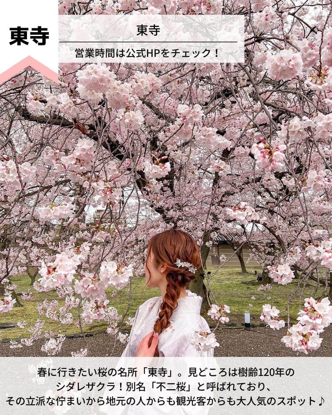 旅工房公式さんのインスタグラム写真 - (旅工房公式Instagram)「＼京都春旅で絶対行きたいスポットまとめ／  #京都 #京都女子旅   今回は、京都の春に行きたいおすすめスポットをご紹介します♪  観光情報やグルメまでまとめているので、ぜひ参考にして訪れてみてください＼(^o^)／ 💚    ━━━━━━━━━━━━━━━  ▽お写真ありがとうございます❣   📍二尊院 @kikko0630さん  小倉山のふもとにある「二尊院」！  色とりどりの花が浮かぶ花手水が人気です。  4/16まで境内に豪華なお花を飾り付けた「花の人力車」が期間限定で見られるのでこちらも要チェック！   【アクセス・案内】  嵐電「嵐山駅」徒歩15分  JR線「嵯峨嵐山駅」徒歩20分  営業時間：9:00～16:30　年中無休    📍岡崎神社 @ma.cocoroさん  うさぎ年の2023年に行きたい岡崎神社！  こちらでは「狛犬」ではなく「狛うさぎ」が鎮座しています♪  「うさぎみくじ」がずらっと並ぶ景色がとてもフォトジェニック◎   【アクセス・案内】  市バス32番、203番、93番、204番「岡崎神社前」下車後すぐ  市バス 5番「東天王町」下車　京阪　神宮丸太町駅下車後すぐ　  地下鉄東西線　蹴上駅下車後すぐ  営業時間：9:00〜17:00　年中無休   📍東寺 @ nakamuraamさん  春に行きたい桜の名所「東寺」。見どころは樹齢120年のシダレザクラ！  別名「不二桜」と呼ばれており、その立派な佇まいから地元の人からも観光客からも大人気のスポット♪   【アクセス・案内】  「京都駅」八条口より徒歩15分  「東寺駅」より徒歩10分  営業時間：営業時間は公式HPをチェック！   📍祇園ふじ寅 @ blenda_pechicoさん  古民家のような和の雰囲気が大人気のカフェ。  ランチ限定の「季節野菜のせいろごはん」が人気メニュー！  無くなり次第終了なので、早めの来店がおすすめです。   【アクセス・案内】  京阪祇園四条駅1番出口より徒歩約1分  阪急京都河原町駅1B出口より徒歩約6分  市営地下鉄三条京阪駅2番出口より徒歩約15分  営業時間：［月、火、木、金］11:30～17:30  ［土、日、祝日］11:00～17:30   📍 ryu no hige @ __asamili__さん  京野菜をはじめ、こだわりをもって厳選された旬の食材を使ったフレンチレストラン！  見た目も美しく味も絶品なので、優雅なランチタイムを過ごせること間違いなし♪   【アクセス・案内】  「阪急京都線」烏丸駅　徒歩4分  「京都市営地下鉄烏丸線」四条駅　徒歩2分  営業時間：11:30〜13:30/17:30〜20:00   📍包華堂 @ nan_yun01さん  フルーツとあんこを自分で包むフルーツ大福専門店！  様々な種類のあんこから、自分の好きな3種類を選べるので、自分好みの組み合わせのフルーツ大福を楽しめますよ◎   【アクセス・案内】  烏丸御池駅より徒歩2分  営業時間：［平日］11:00～18:00（L.O.17:00）  ［土日祝］11:00～19:00（L.O.18:00）   ━━━━━━━━━━━━━━━    ※新型コロナウイルス感染拡大の影響により営業時間・内容は変更になる場合がございます。詳しくは各ホームページをご確認ください。    海外・国内問わず、素敵なスポットやグルメ、アイテムの写真にはぜひ #旅工房 や @tabikobo をタグ付けして下さい💕     #京都春旅 #京都スポット #京都カフェ #京都グルメ  #カフェ巡り #抹茶スイーツ #フルーツ大福  #包華堂  #和スイーツ #ryunohige #京都ランチ #祇園ふじ寅 #東寺  #京料理 #岡崎神社  #二尊院  #tabijyo #タビジョと繋がりたい #旅行計画 #旅したくなるフォト #旅行行きたい #旅行好きな人と繋がりたい #nexttrip #花手水 #旅工房国内 #国内旅行」3月20日 12時05分 - tabikobo