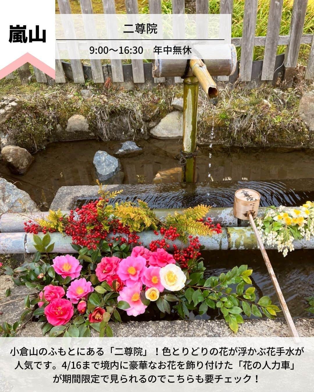 旅工房公式さんのインスタグラム写真 - (旅工房公式Instagram)「＼京都春旅で絶対行きたいスポットまとめ／  #京都 #京都女子旅   今回は、京都の春に行きたいおすすめスポットをご紹介します♪  観光情報やグルメまでまとめているので、ぜひ参考にして訪れてみてください＼(^o^)／ 💚    ━━━━━━━━━━━━━━━  ▽お写真ありがとうございます❣   📍二尊院 @kikko0630さん  小倉山のふもとにある「二尊院」！  色とりどりの花が浮かぶ花手水が人気です。  4/16まで境内に豪華なお花を飾り付けた「花の人力車」が期間限定で見られるのでこちらも要チェック！   【アクセス・案内】  嵐電「嵐山駅」徒歩15分  JR線「嵯峨嵐山駅」徒歩20分  営業時間：9:00～16:30　年中無休    📍岡崎神社 @ma.cocoroさん  うさぎ年の2023年に行きたい岡崎神社！  こちらでは「狛犬」ではなく「狛うさぎ」が鎮座しています♪  「うさぎみくじ」がずらっと並ぶ景色がとてもフォトジェニック◎   【アクセス・案内】  市バス32番、203番、93番、204番「岡崎神社前」下車後すぐ  市バス 5番「東天王町」下車　京阪　神宮丸太町駅下車後すぐ　  地下鉄東西線　蹴上駅下車後すぐ  営業時間：9:00〜17:00　年中無休   📍東寺 @ nakamuraamさん  春に行きたい桜の名所「東寺」。見どころは樹齢120年のシダレザクラ！  別名「不二桜」と呼ばれており、その立派な佇まいから地元の人からも観光客からも大人気のスポット♪   【アクセス・案内】  「京都駅」八条口より徒歩15分  「東寺駅」より徒歩10分  営業時間：営業時間は公式HPをチェック！   📍祇園ふじ寅 @ blenda_pechicoさん  古民家のような和の雰囲気が大人気のカフェ。  ランチ限定の「季節野菜のせいろごはん」が人気メニュー！  無くなり次第終了なので、早めの来店がおすすめです。   【アクセス・案内】  京阪祇園四条駅1番出口より徒歩約1分  阪急京都河原町駅1B出口より徒歩約6分  市営地下鉄三条京阪駅2番出口より徒歩約15分  営業時間：［月、火、木、金］11:30～17:30  ［土、日、祝日］11:00～17:30   📍 ryu no hige @ __asamili__さん  京野菜をはじめ、こだわりをもって厳選された旬の食材を使ったフレンチレストラン！  見た目も美しく味も絶品なので、優雅なランチタイムを過ごせること間違いなし♪   【アクセス・案内】  「阪急京都線」烏丸駅　徒歩4分  「京都市営地下鉄烏丸線」四条駅　徒歩2分  営業時間：11:30〜13:30/17:30〜20:00   📍包華堂 @ nan_yun01さん  フルーツとあんこを自分で包むフルーツ大福専門店！  様々な種類のあんこから、自分の好きな3種類を選べるので、自分好みの組み合わせのフルーツ大福を楽しめますよ◎   【アクセス・案内】  烏丸御池駅より徒歩2分  営業時間：［平日］11:00～18:00（L.O.17:00）  ［土日祝］11:00～19:00（L.O.18:00）   ━━━━━━━━━━━━━━━    ※新型コロナウイルス感染拡大の影響により営業時間・内容は変更になる場合がございます。詳しくは各ホームページをご確認ください。    海外・国内問わず、素敵なスポットやグルメ、アイテムの写真にはぜひ #旅工房 や @tabikobo をタグ付けして下さい💕     #京都春旅 #京都スポット #京都カフェ #京都グルメ  #カフェ巡り #抹茶スイーツ #フルーツ大福  #包華堂  #和スイーツ #ryunohige #京都ランチ #祇園ふじ寅 #東寺  #京料理 #岡崎神社  #二尊院  #tabijyo #タビジョと繋がりたい #旅行計画 #旅したくなるフォト #旅行行きたい #旅行好きな人と繋がりたい #nexttrip #花手水 #旅工房国内 #国内旅行」3月20日 12時05分 - tabikobo