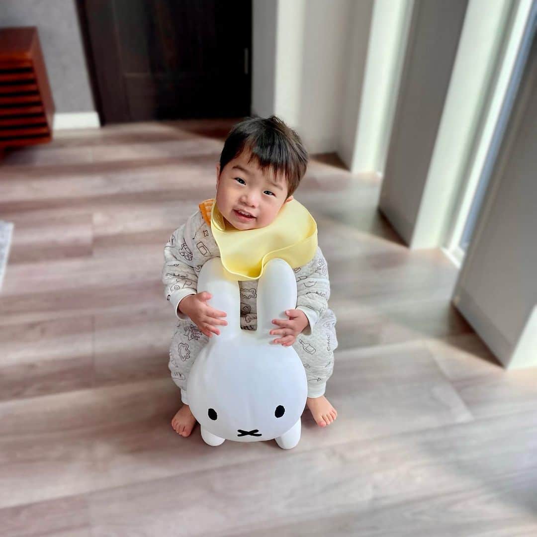 いわさきふきこ さんのインスタグラム写真 - (いわさきふきこ Instagram)「食べたいし、背負いたいし、遊びたいし。  #1歳10ヶ月 #令和3年ベビー #ブルーナボンボン」3月20日 12時07分 - fukikoiwasaki