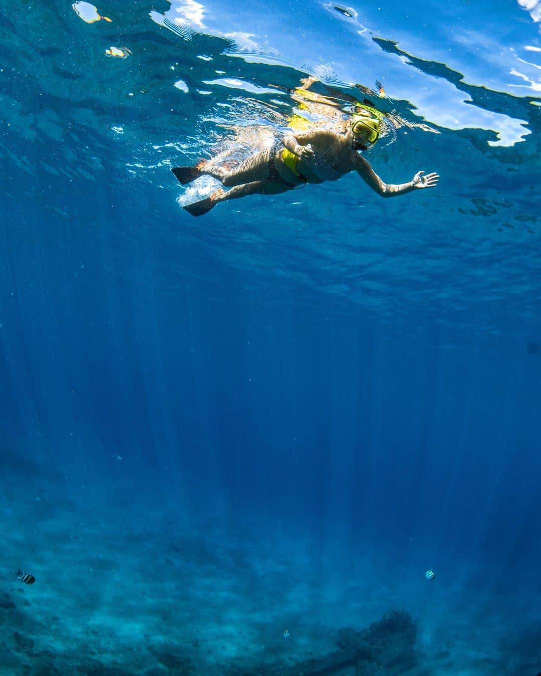 マリッサ・キャステリのインスタグラム：「Exploring the sea 🪸」