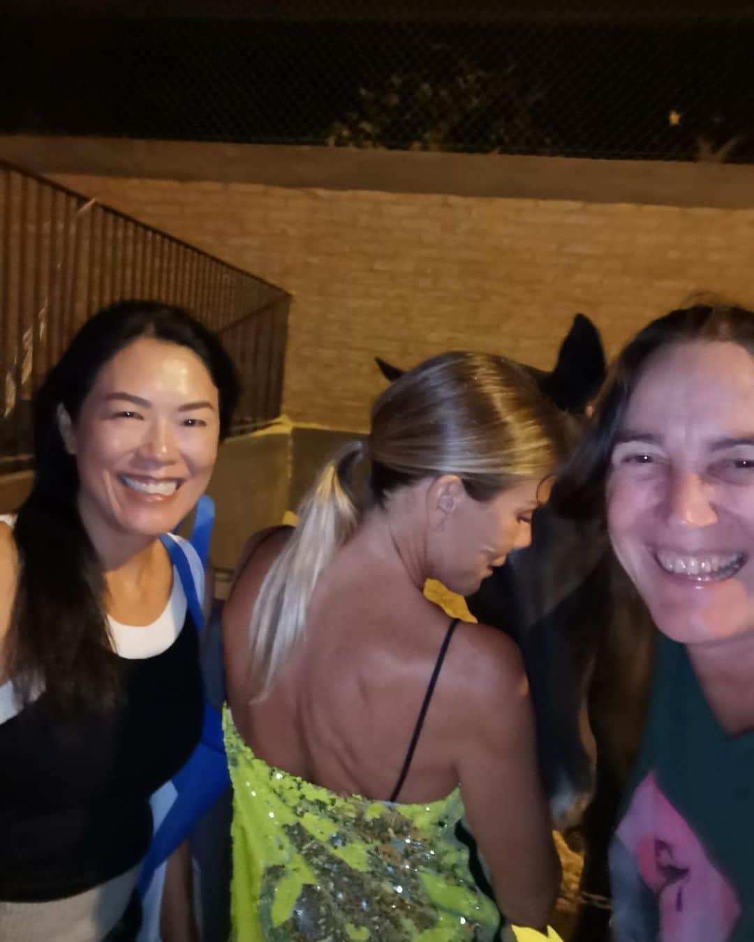 イネス・リグロンのインスタグラム：「Diner with Lyn and Lia horses at la 15 in Pilara💟」