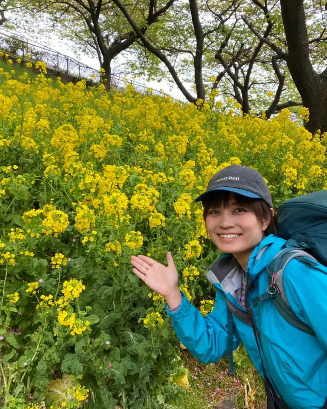 桜花さんのインスタグラム写真 - (桜花Instagram)「春・たくさんみっけ🍀☺️  一枚目、 車道に映るシャドウ(影)が 足長です🍀！笑  春の花は明るくて 何だかパワーが湧いてくるようです🍀  本日もナイスに参りましょう✨  #春  #春が来たぞ #スプリング #sakura #桜  #菜の花 #さくら #春の花」3月20日 12時14分 - mountainohka