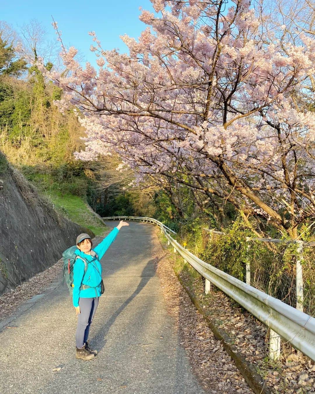 桜花さんのインスタグラム写真 - (桜花Instagram)「春・たくさんみっけ🍀☺️  一枚目、 車道に映るシャドウ(影)が 足長です🍀！笑  春の花は明るくて 何だかパワーが湧いてくるようです🍀  本日もナイスに参りましょう✨  #春  #春が来たぞ #スプリング #sakura #桜  #菜の花 #さくら #春の花」3月20日 12時14分 - mountainohka