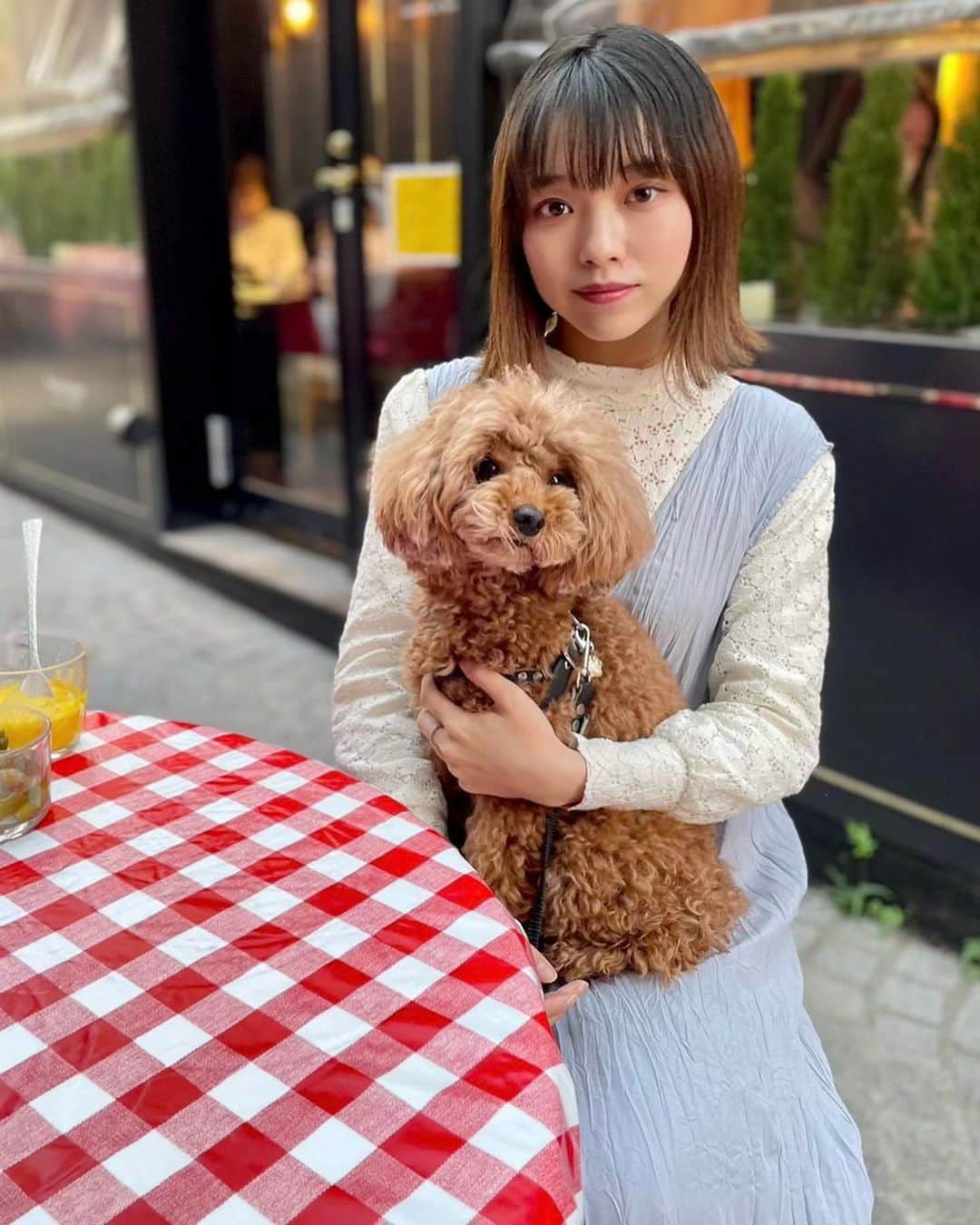 横山キラのインスタグラム：「暖かくなってきたので、愛犬のサラとテラスランチしてきました🍽🐶  春らしい素材と色のワンピースを着ています♡ @wclosetwearsinc    #wcloset #ワンピース  #春ワンピ #しわ加工ワンピース  #テラスランチ #神楽坂グルメ  #神楽坂ランチ  #ワンコとお出かけ  #pr」