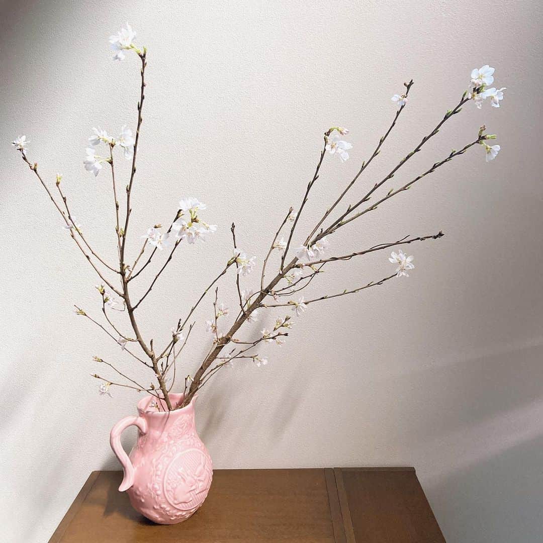 冴月瑠那さんのインスタグラム写真 - (冴月瑠那Instagram)「- ̗̀☾ ̖́-⋆⸜☾‎𖤐⡱- ̗̀☾ ̖́-  お花屋さんで初めて 桜が気になって。  外も咲き出したのに お家にもはどうかな… と悩みつつ  お迎えして良かった！！  とても和みます。🌸   #桜  #少しづつ  #咲いてくる楽しみ   #いい季節   #冴月瑠那   #宝塚OG」3月20日 13時11分 - luna_saezuki