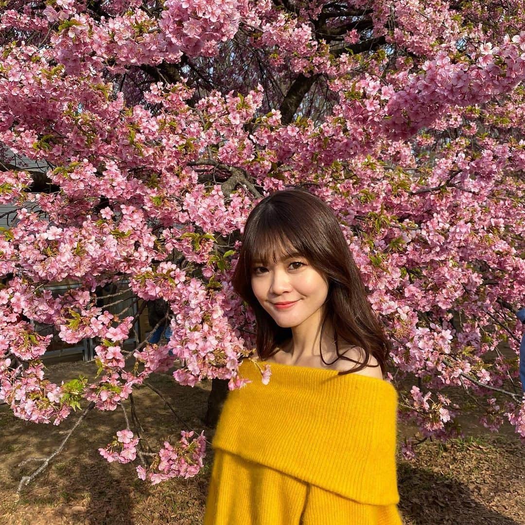 ほのかのインスタグラム：「. . . ドーナツとコーヒーテイクアウトして代々公行ったら 桜🌸咲いてた！ . . 去年上京したタイミング的に桜が綺麗に見える時期は 終わってたので、東京で桜見るのは今年が初！嬉しい〜🥰 . なので、桜投稿多くなっちゃっても許してください☺️💕 . . . #東京桜 #桜 #桜スポット #桜ピンク #代々木公園 #代々木公園カフェ #代々木公園ドッグラン #よよこう #2023春 #桜の季節 #モデル #ロッテンマイヤーほのか #アパレルモデル #撮影モデル」