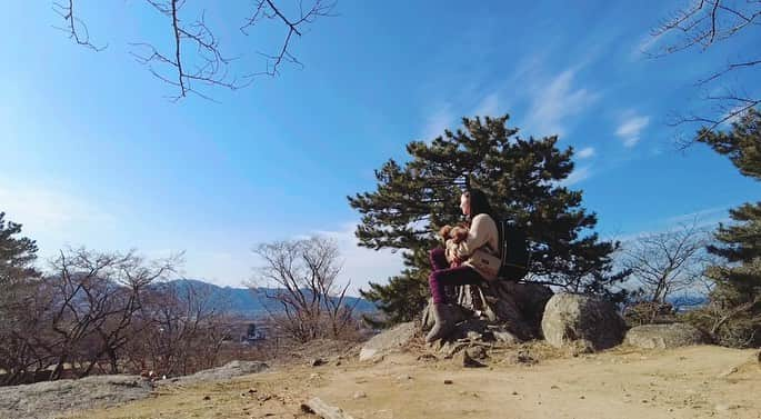 茉莉のインスタグラム：「🤍🏯💙 (スワイプしてね🐕) . . 三重県のわんことお散歩におすすめ！💛 『松坂城跡』 . .  国指定史跡・日本100名城にも選ばれているんです✨ そんな立派な所にわんこも一緒に 連れて行けるなんて嬉しかったなぁ🐶💛 現存する建物はないけれど 立派な石垣がたくさん残っています☺️ 天守閣から見る景色は町全体を見渡す事ができ、 気持ちよかったです👍🧡 . .  #犬連れ旅#わんこ同伴可 #バンライフ#三重県#松坂城跡#松坂城# 松阪#国指定史跡 #三重観光#わんこのいる暮らし #犬連れ旅行 #ワンちゃんと一緒 #車中泊#車中泊女子#女一人旅#女ひとり旅 #デリカ#デリカd5 #デリカd5カスタム #vanlife#delica」