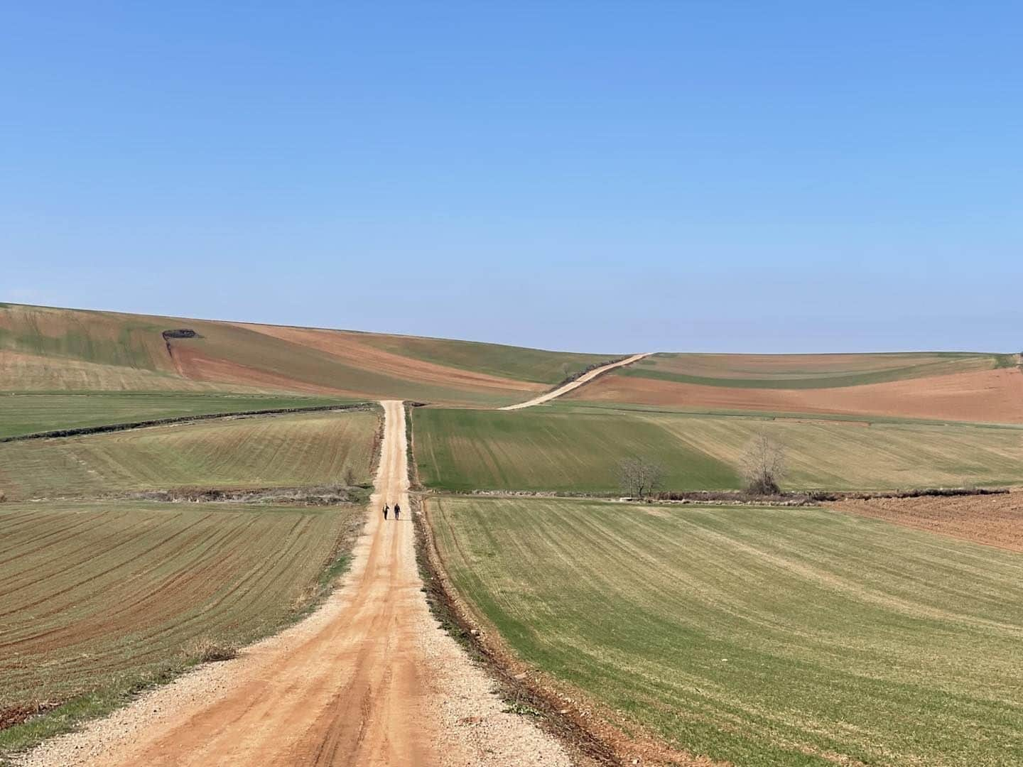 クリス・ノースのインスタグラム：「..I guess my feet know where they want me to go- walking on a country road— El Camino」