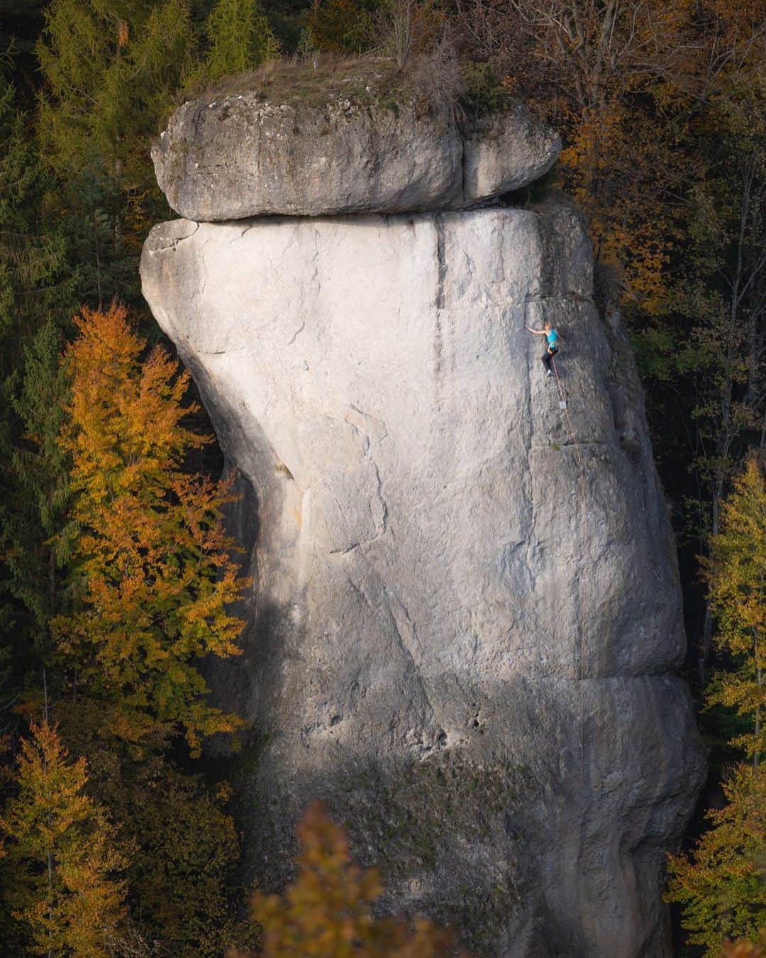 マチルダ・セーデルルンドのインスタグラム：「Epic shot by @stefan_riedl_ from Frankenjura 😍 Climbing a classic Wolfgang Güllich route at Rabenfels  #climbing #rockclimbing #frankenjura #klettern」